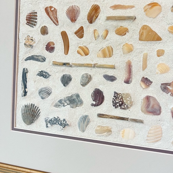 Coastal Eclectic Shell Wall Art, Outerbanks Seashells Beachy Home Decor Painting - Picture 4 of 6